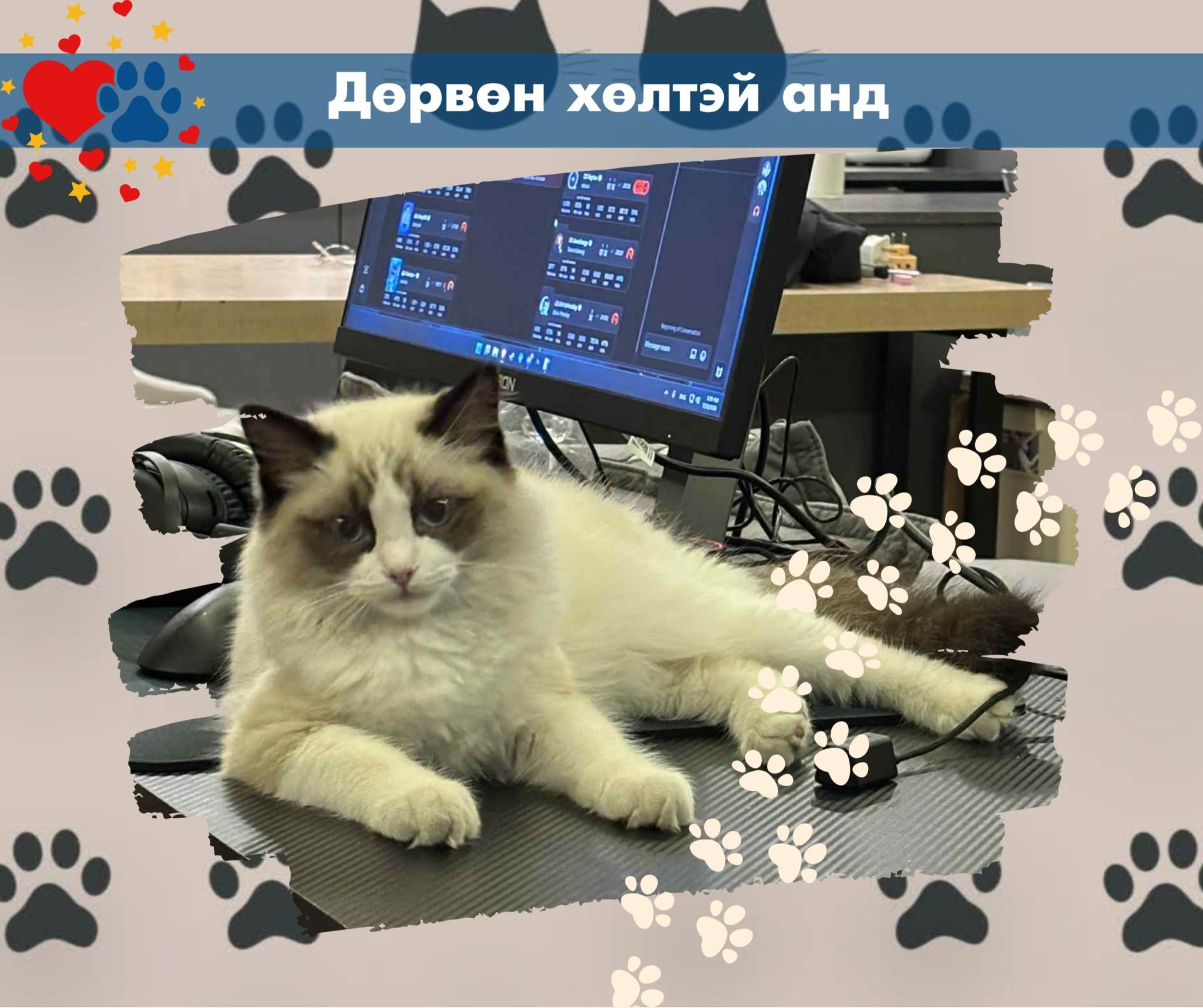 Зуны тэнгэр мэт тунгалаг нүдтэй Артур